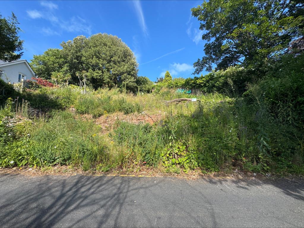 Lot: 13 - FREEHOLD LAND LOCATED IN A SOUGHT AFTER AREA WITH LAPSED PLANNING FOR DETACHED DWELLING - View of the land